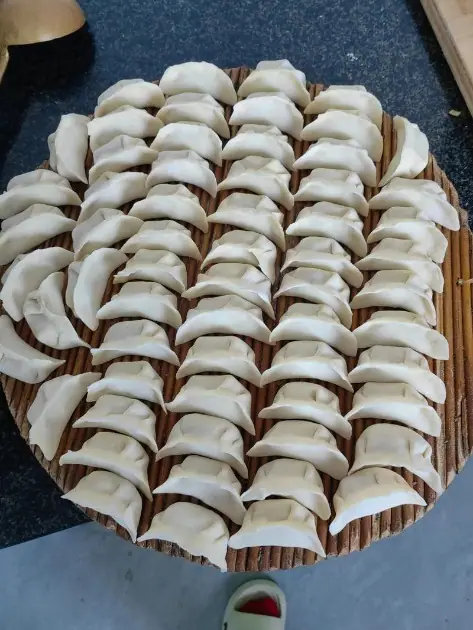 饺子类别对象参考图